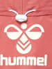 Hummel Mütze Hmlbreeze Mädchen in DUSTY CEDAR