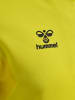 Hummel Hummel Halbreißverschluss Sweatshirt Hmlauthentic Multisport Herren in BLAZING YELLOW