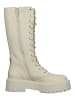 Steve Madden Stiefel in Bone