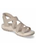 Skechers Sandalette in taupe