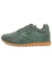Cetti Sneaker in grün