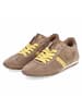 Gabor Low Sneaker in braun