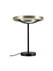 paulmann LED Tischleuchte 3-Step-Dim Melira 2700K 580lm 10W Schwarz matt, Gold