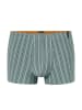 Schiesser Trunk Long Life Soft in mineral