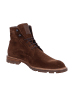 Floris van Bommel Stiefeletten/Boot in braun