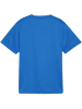 Puma T-Shirt "TeamGoal Jersey Jr" in Blau