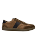 Josef Seibel Sneaker Lio 06 in braun