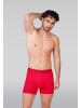 Muchachomalo 3er-Set: Boxershort in Mehrfarbig - für Herren