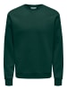 Only&Sons Sweatshirt 'Ceres' in grün