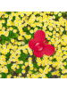 relaxdays 6x Sprinkler Blume in Rot/ Gelb