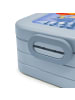 Mr. & Mrs. Panda Bento Box Fuchs Sänger Design ohne Spruch in Blau Pastell