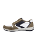 Josef Seibel Sportliche Schnürschuhe in Beige