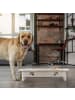 relaxdays Hunde-Futterstation in Grau - (B)40,5 x (H)10 x (T)21 cm