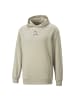 Puma Hoodie Better Hoodie FL in Beige