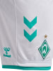 Hummel Hummel Kurze Hose Wer 23/24 Fußball Erwachsene Schnelltrocknend in WHITE