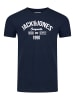 Jack & Jones T-Shirt JJLINO 4er Pack in Mehrfarbig