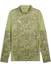Puma Pullover "TeamCUP Training 1/4 Zip Top" in Grün