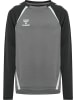Hummel Kinder Hoodie "Lead 2.0 Crew Sweat" in Grau