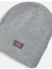 Dickies Mütze "Acrylic Cuffed Beanie" in Grau