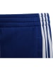 adidas Sportschuh in Blau