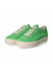 Paul Green Low Sneaker in Grün