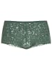 Calida Panty in laurel green