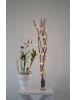 STAR Trading LED Deko-Licht Willow DewDrop, warmweiß, 60 cm in Silber