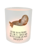 Mr. & Mrs. Panda Outdoor Windlicht Robbe Lachen mit Spruch in Transparent