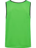 Hummel Hummel Multisportsleibchen Fundamental Multisport Erwachsene in NEON GREEN