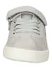 Geox Sneaker in Grau