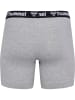 Hummel 2-er Pack Retro Boxershorts Trunks Set Unterwäsche HMLBOXERS in Grau