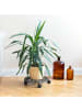 relaxdays 2 x Pflanzenroller in Bronze - (H)7,5 x Ø34 cm