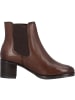 Palado Stiefeletten Ianmaris in Braun