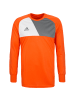 adidas Performance Torwarttrikot Assita 17 in orange / grau