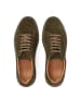 Kazar Sneaker Low in Khaki