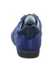Paul Green Sportliche Schnürschuhe in Blau