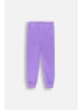 Coccodrillo Jogginghose in violett