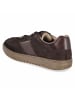 SALAMANDER Schnürhalbschuh in brown