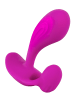 Sweet Smile Vibrator RC C- & G-Spot in pink
