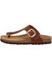 palado Pantoletten in light brown (225-X)