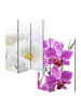 MCW Foto-Paravent Bagheria, 180x120cm, Orchidee