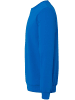 uhlsport  Pullover "Sweatshirt" in Blau
