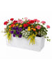 relaxdays Balkonkasten "Rattan" mit Selbstbewässerung in Weiß - (B)50 x (H)19 x (T)19 cm