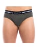 Abanderado Slip in Green