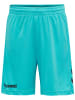Hummel Kurze Hose Anzug Raglanärmel Core Kids Fußball Kinder in SCUBA BLUE