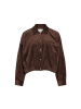 Vila Jacke in Coffee Bean