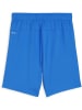 Puma Sporthose "TeamGoal Shorts Jr" in Blau