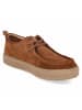Bugatti Schnürhalbschuh in brown