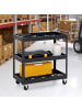 COSTWAY Werkstattwagen mit 2 Etagen in Schwarz