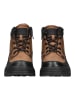 Tom Tailor Stiefelette in Cognac